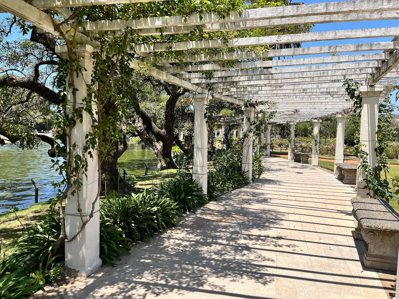 el rosedal buenos aires