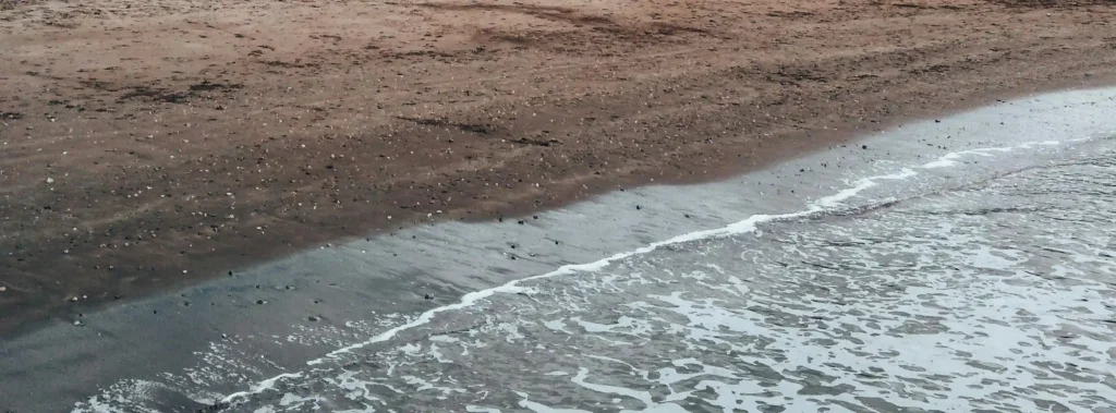 alfonsina y el mar song